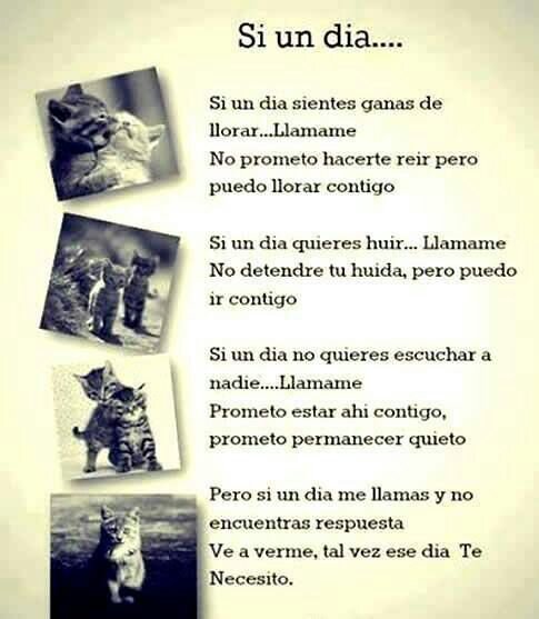 YasenkiV's profile picture. es una buena amiga