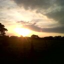 Maria Elena Briones - @MariaElenaBrio3 - Twitter