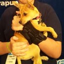 graham earl - @grahamearl1 - Twitter