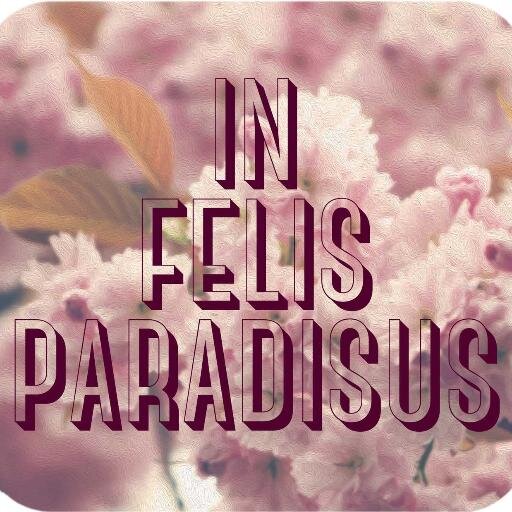 felisparadisus's profile picture. Where beautiful things bloom.