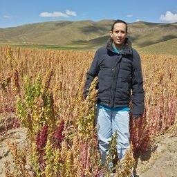 Jpcastedo's profile picture. Nacido el 69 bajo el signo de geminis, trabajo como broker de productos en el mundo y exporto productos bolivianos