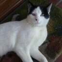 Veronica Nicolas - @gemvero51 - Twitter