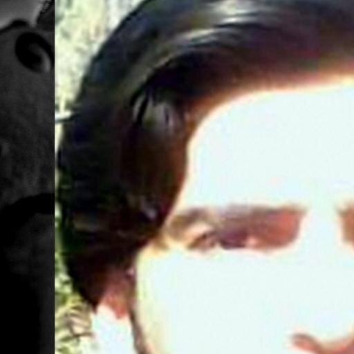 sayedwajidali's profile picture. Simplicity , Photographer ,trekker , Hiker ,