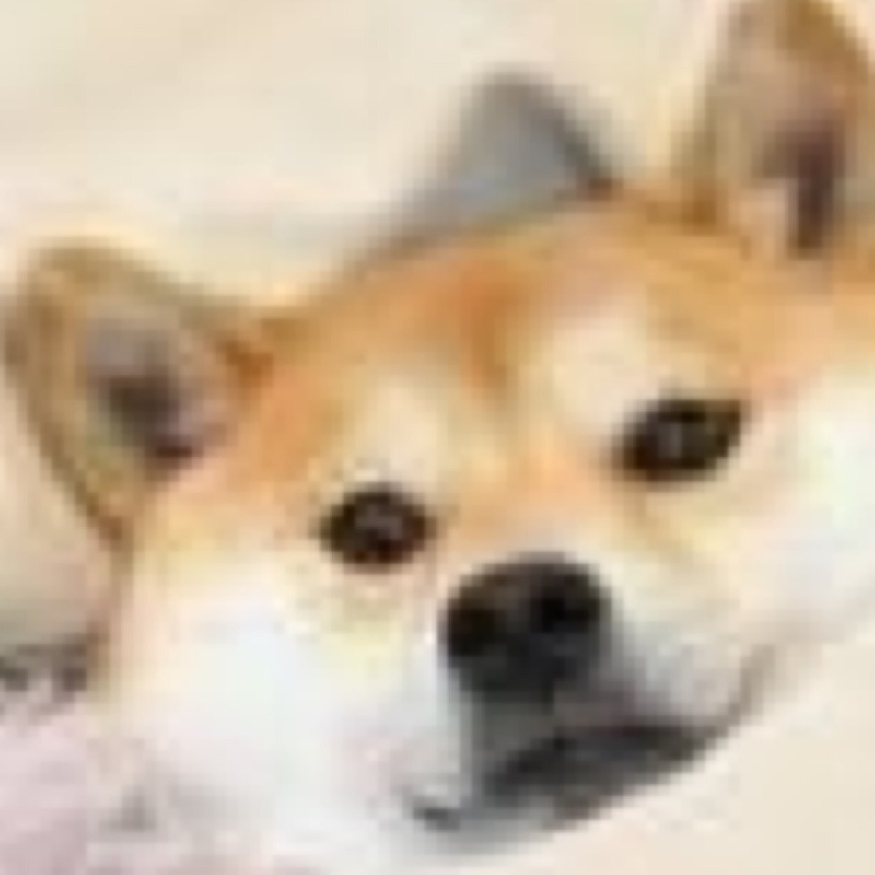 KqRqNpo Profile Picture