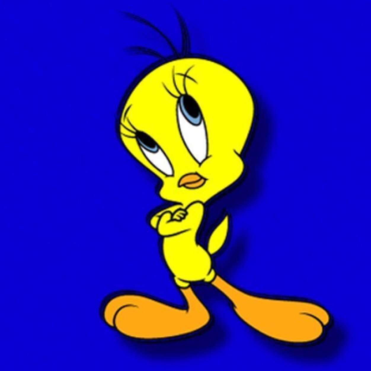 BeshertBBG's profile picture. Welcome to the official Beshert BBG #2455 twitter!!