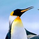 Samira Serrano - @serranobqbs - Twitter