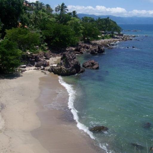 AvidTravelers's profile picture. I will RT #traveltips and #budgettravel so follow me if you are an avid traveller that wants to save money!