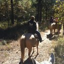 Jamie Schilling - @horselady70769 - Twitter