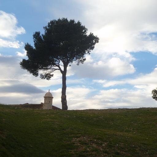 roxiogove's profile picture. 