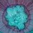 IPBio's profile image