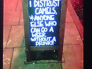 LadderGuy2's profile picture. Need a Little Giant Ladder - I'm you're guy. Best prices - Need a Hammond Organ or keyboard Guy? I do that too !