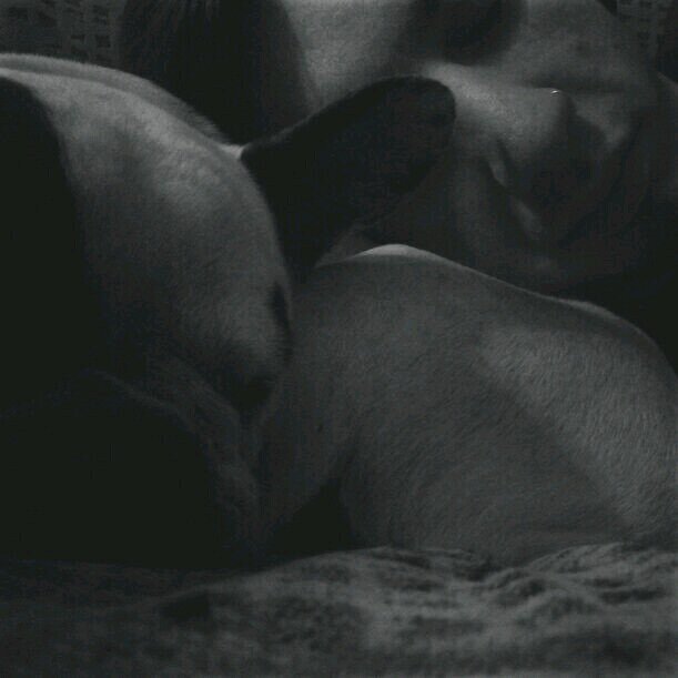 Dan_Dmgz's profile picture. 