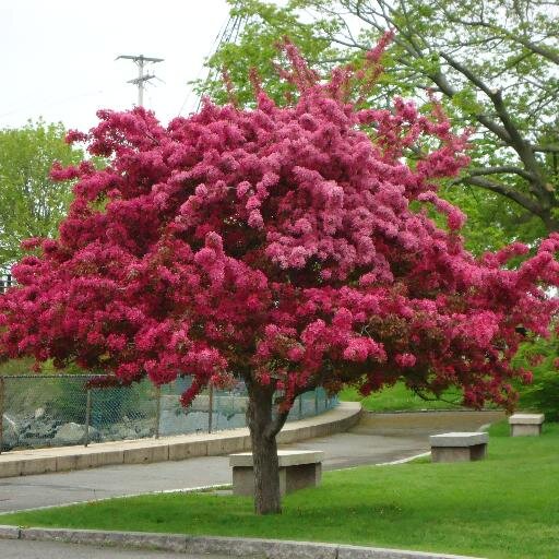 Prescott Park, Portsmouth NH - a public park with over 10 acres of beautiful gardens, green lawns, brick walks, river views, and an island picnic area to enjoy.