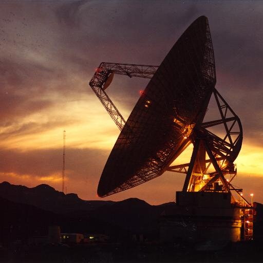 SDAAFF's profile picture. Self-Defense Against A Fresh Fruit