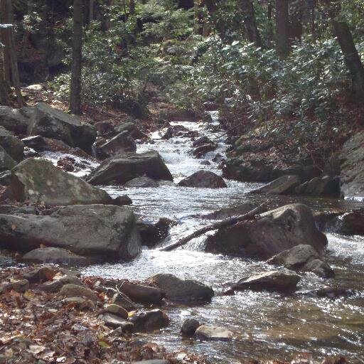 campsykes's profile picture. 