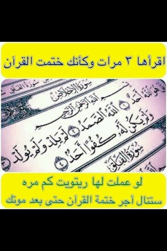 ‏ياغريب كن اديب .‏