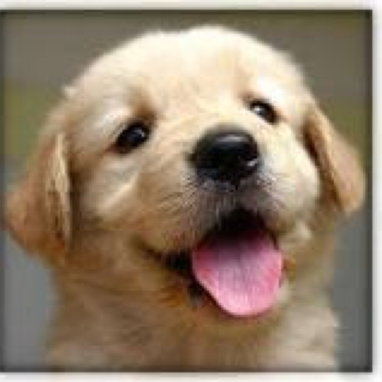 bellajo76931045 Profile Picture