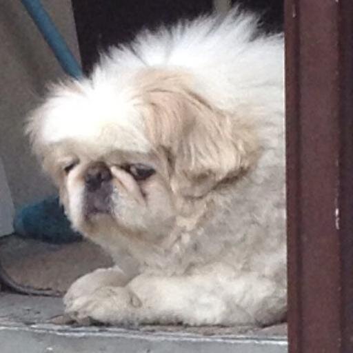 carlyitsmecarly's profile picture. 