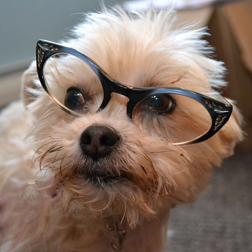 urbanhipster's profile picture. America's next top parallel parker.

@lizthelen.bsky.social