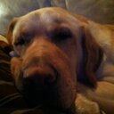 Nancy Sutherland - @NancySutherlan2 - Twitter