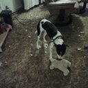 Sandy Reno - @sjreno112 - Twitter