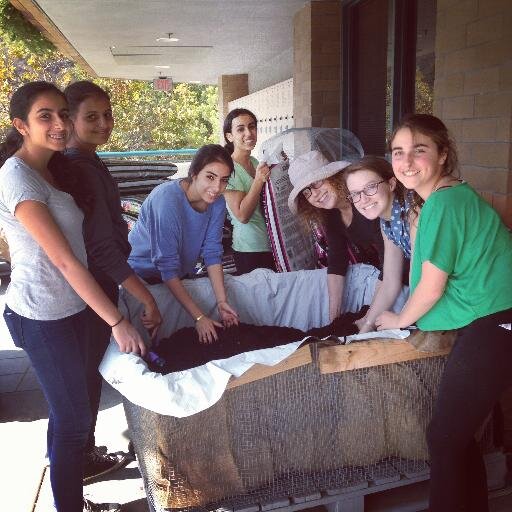 Student-run organic garden at Milken Community High School. Passionate about food justice, organics, and sustainability.