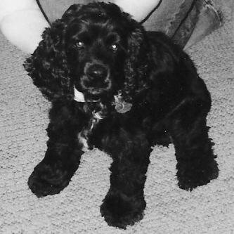 connealy_leslie's profile picture. 