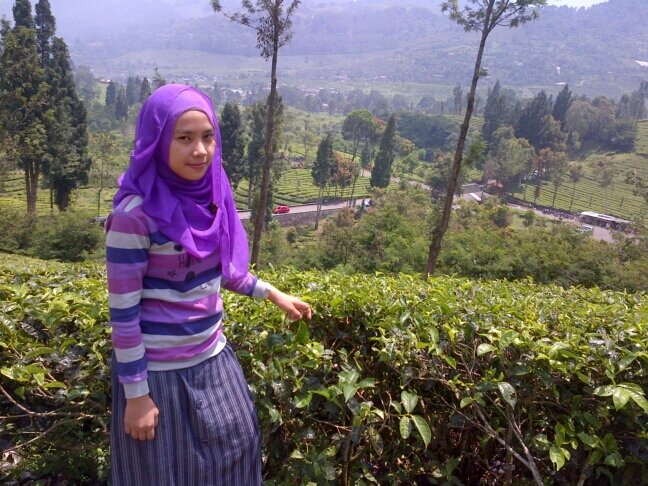 IchEkanich's profile picture. dont give up if you want to be a success . learning by doing,,,