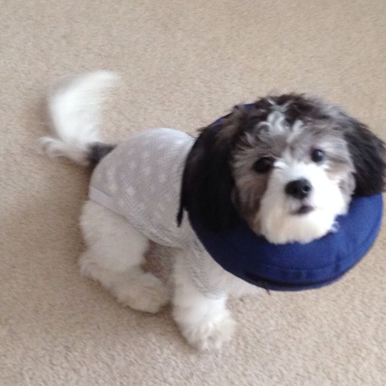 kareyon's profile picture. 