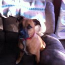 anthony micheal hope - @anthonymhope - Twitter