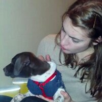 Katie Parent (@katieparent) 's Twitter Profile