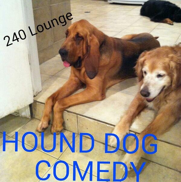 HoundDogComedy's profile picture. Comedy Showcase 2nd and 4th Thursday at The 240 Lounge Lawrence and Pulaski Chicago. 9pm Drink Specials