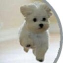 Wanda Ferrell - @FerrellWanda - Twitter