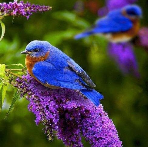 rangieritchie's profile picture. 