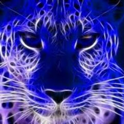Yo_Chanel_J's profile image