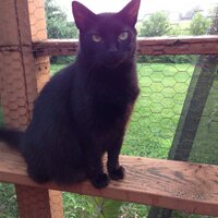 Patricia Jackson (@pj32346patricia) 's Twitter Profile