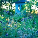 Judith Haller - @HallerJudith - Twitter