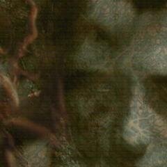 WARNING! your software-status is critical! A new update for brain.exe is available. For download please visit http://t.co/gDRLlQaSWQ^^