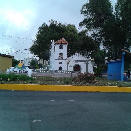 Médico Veterinario de la UCV,  y Sanantoñera