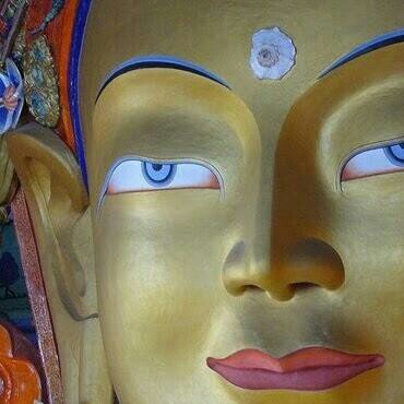 BudistasA's profile picture. 