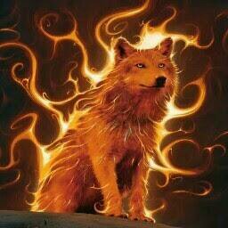 hardie_kevin's profile picture. 