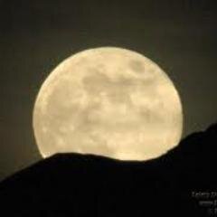 Palemoon45's profile picture. Cuz my ass just never tans.