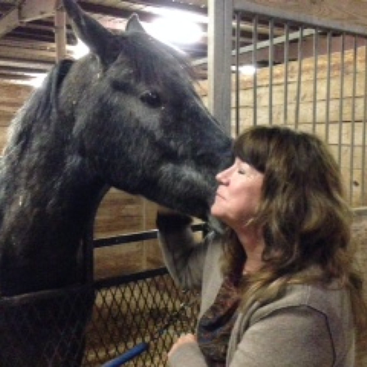 valorsongof's profile picture. Breeder of Arabian Horses, Farm located in Aubrey Texas