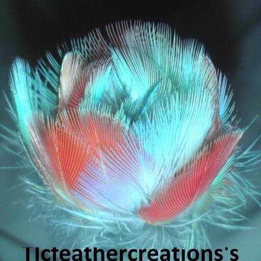 I hand make real bird feather flowers, arrangememts (hoilday) and wedding boquets by using molted bird feathers https://t.co/Ya5yGWF1QH