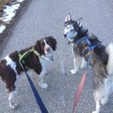 Shawn Proctor - @ProctorShawn - Twitter