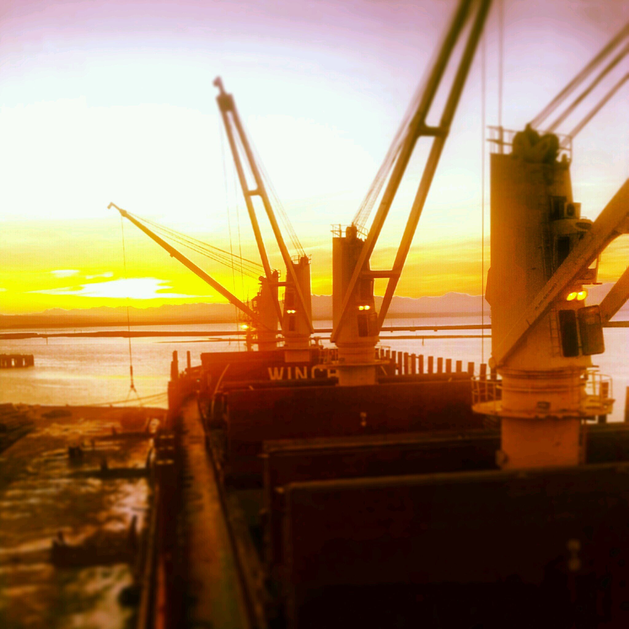 hatchmen's profile picture. 