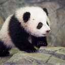 Joy Vera - @JoyVera6 - Twitter