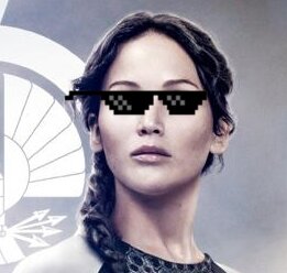 Fogosa, terror dos padeiros, diva de Panem, musa da rebelião. Eu juro que a culpa não é das Estrelas. Nem minha...
