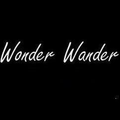 Wonder Wander Jewelry- Adorable and affordable jewelry for everyone!