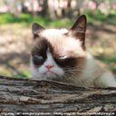 Hugo Valdés  - @hugovaldes50 - Twitter